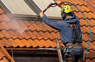 Démoussage et hydrofuge de toiture à Esternay